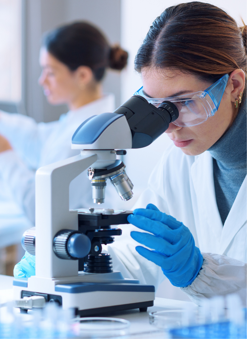 BiomorphiX Img A 503731162-2